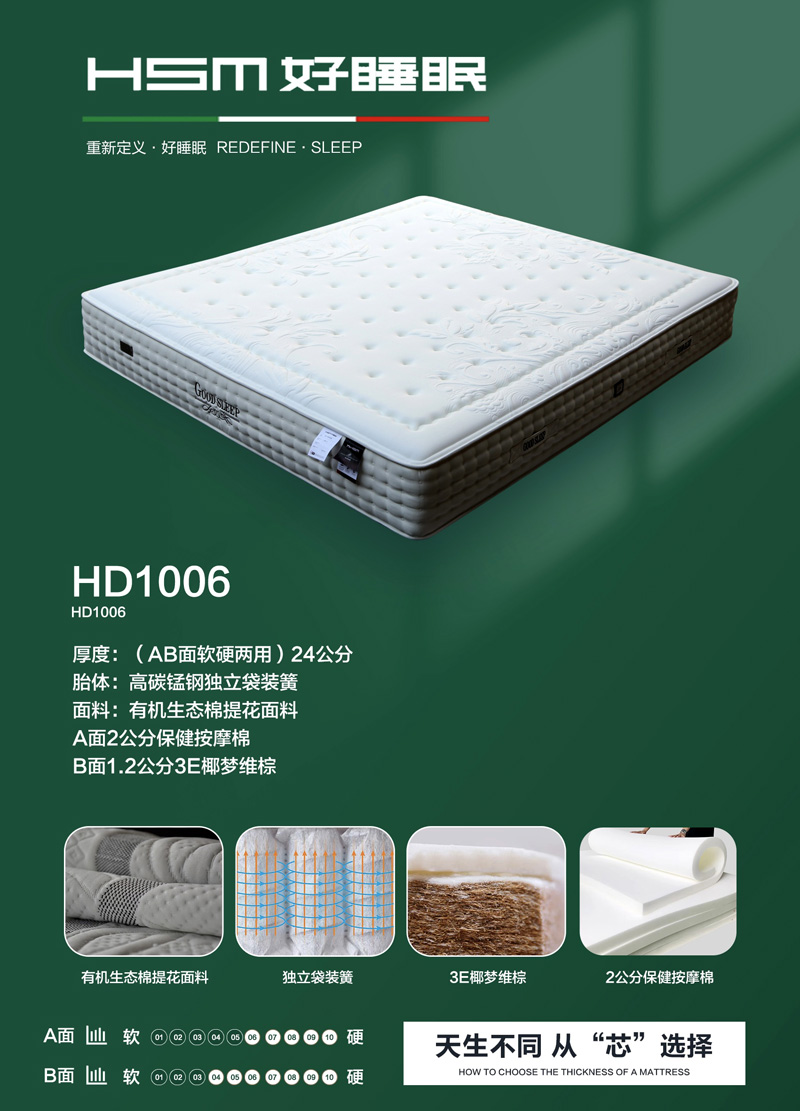 HD1006