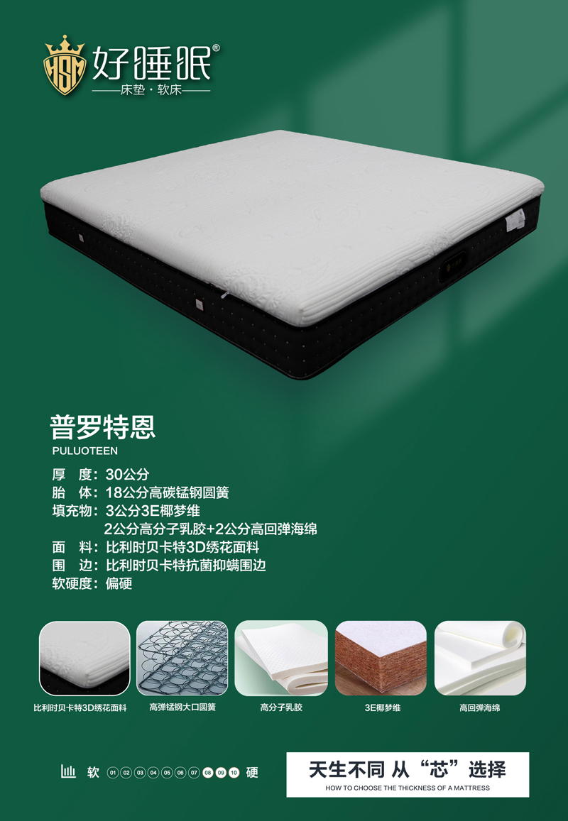 普罗特恩