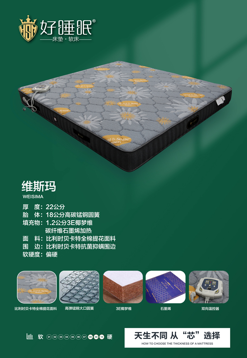 维斯玛