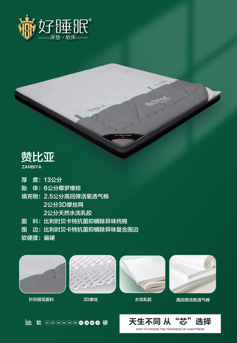 赞比亚