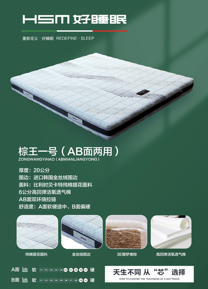 棕王一号